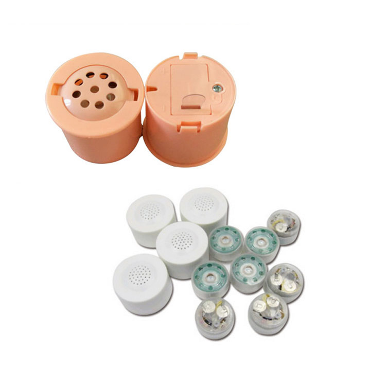 音乐可录制的声音模块的玩具